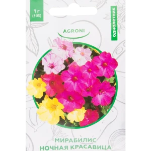 Мирабилис «Ночная красавица» XS 82457721 STLM-2110078