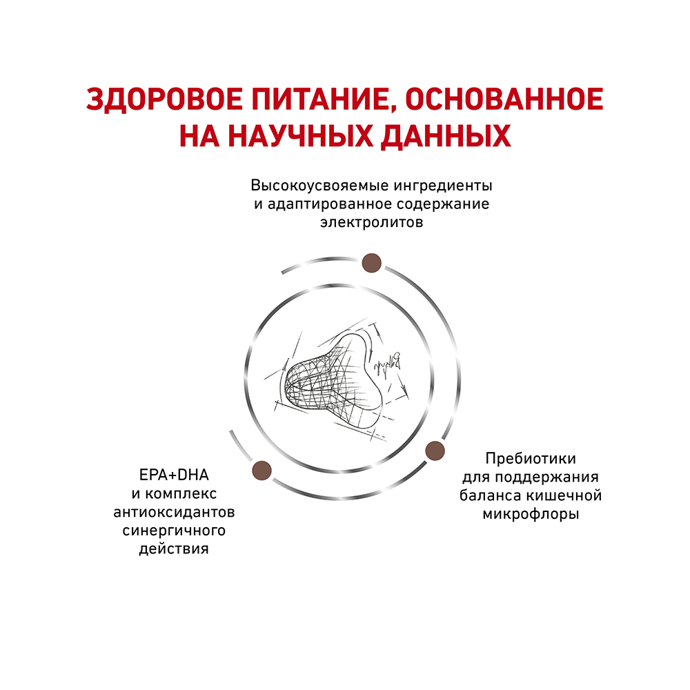 УТ0014095 Корм для кошек Vet Diet Fibre Response FR31 при нарушении пищеварения, птица сух. 2кг ROYAL CANIN  - Вид №3
