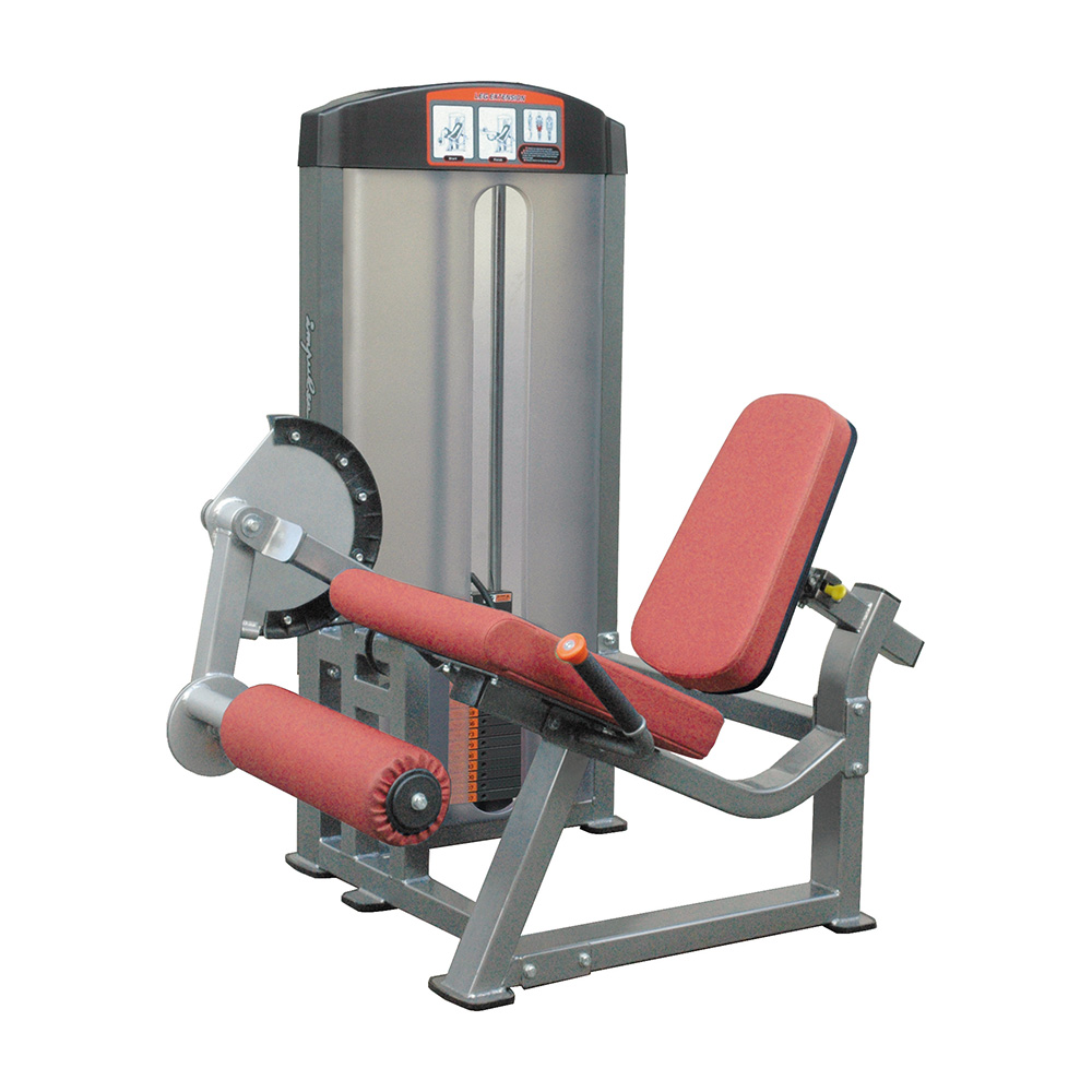 IF8105 Aerofit if/sg if8105 разгибание ног AeroFIT IF серия 