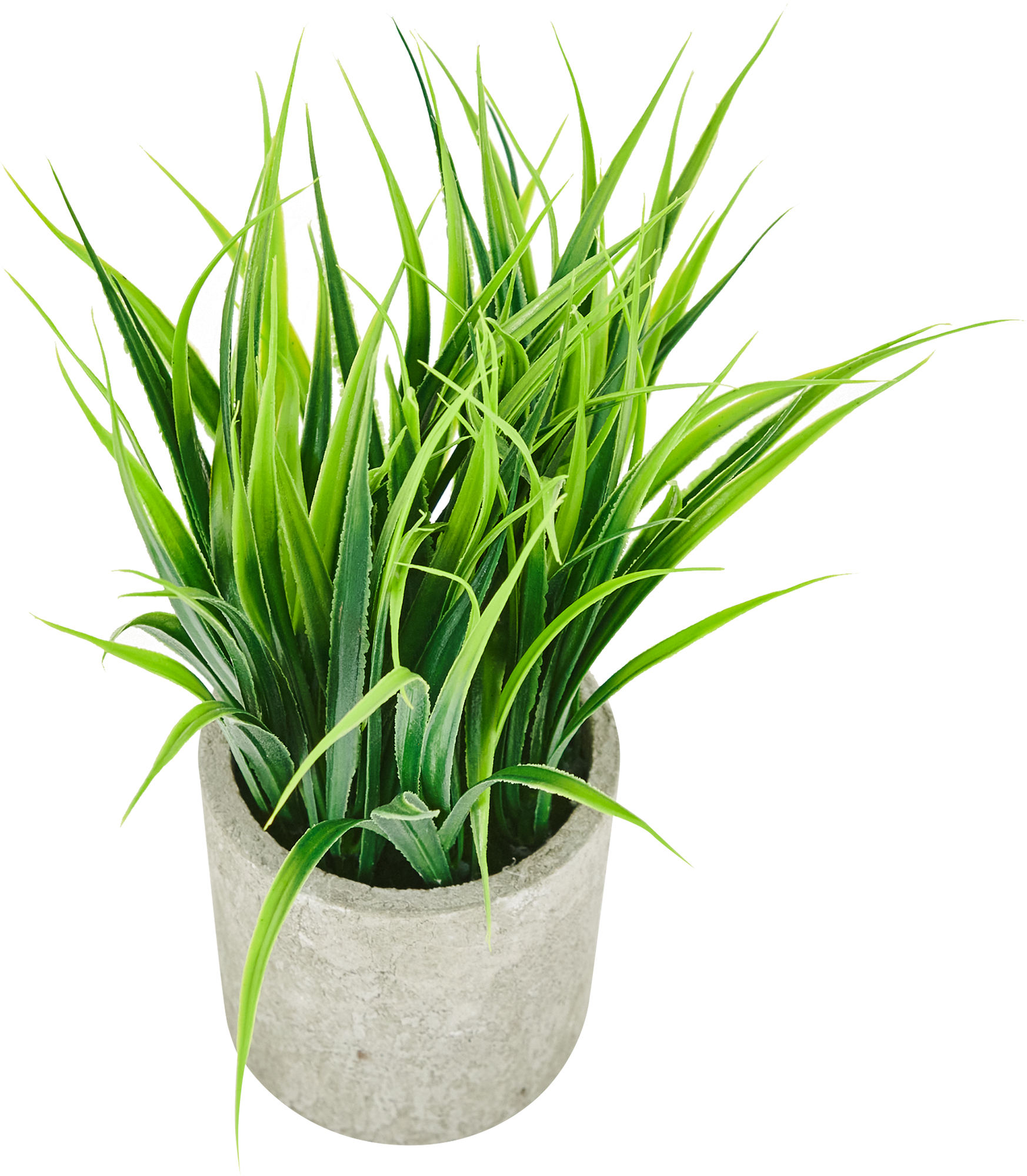 85826011 Искусственное растение Осока h20 см STLM-0065533 Santreyd 