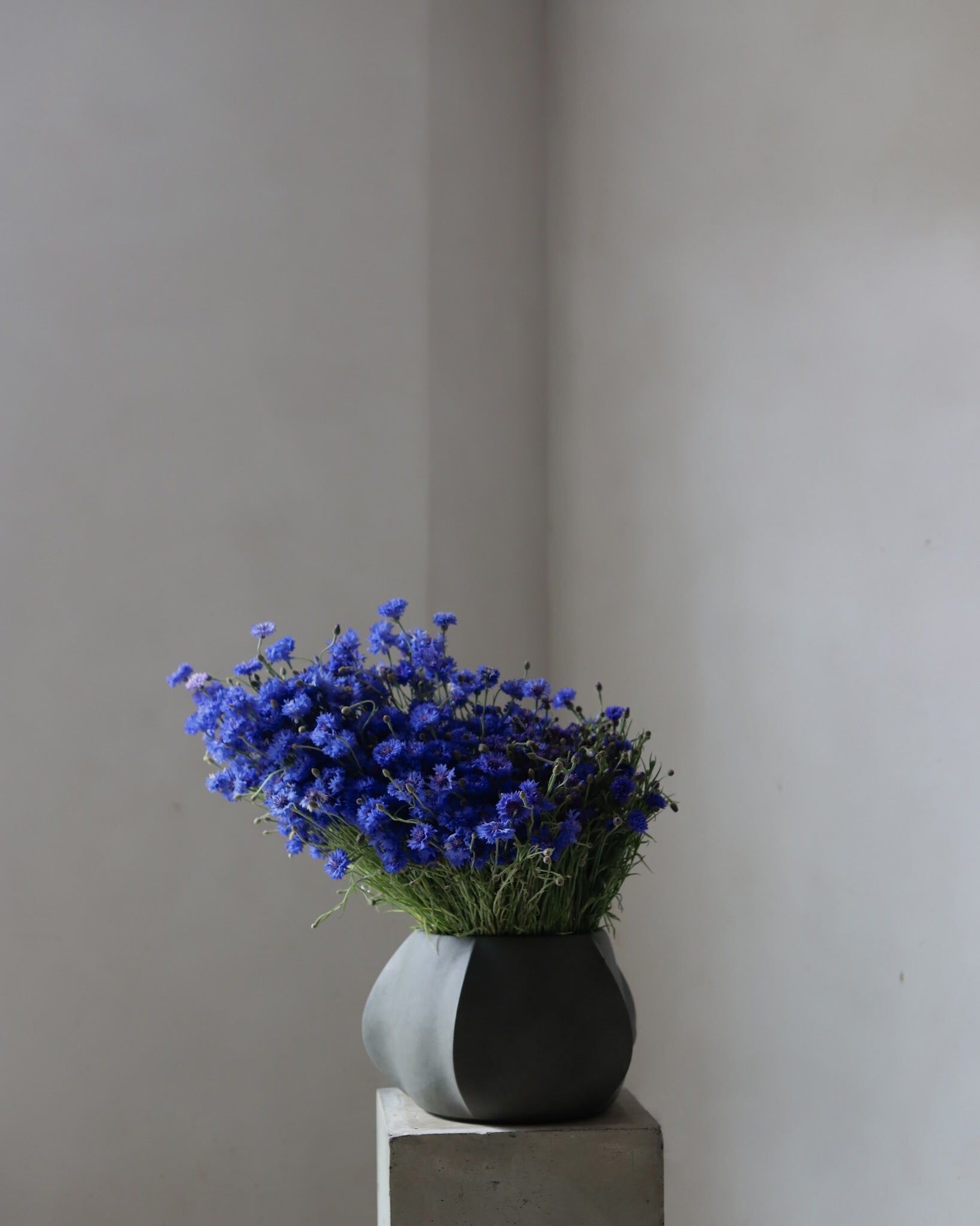 Ваза из фиброцемента 101 Copenhagen Arket ARCH-00067175 - Вид №1