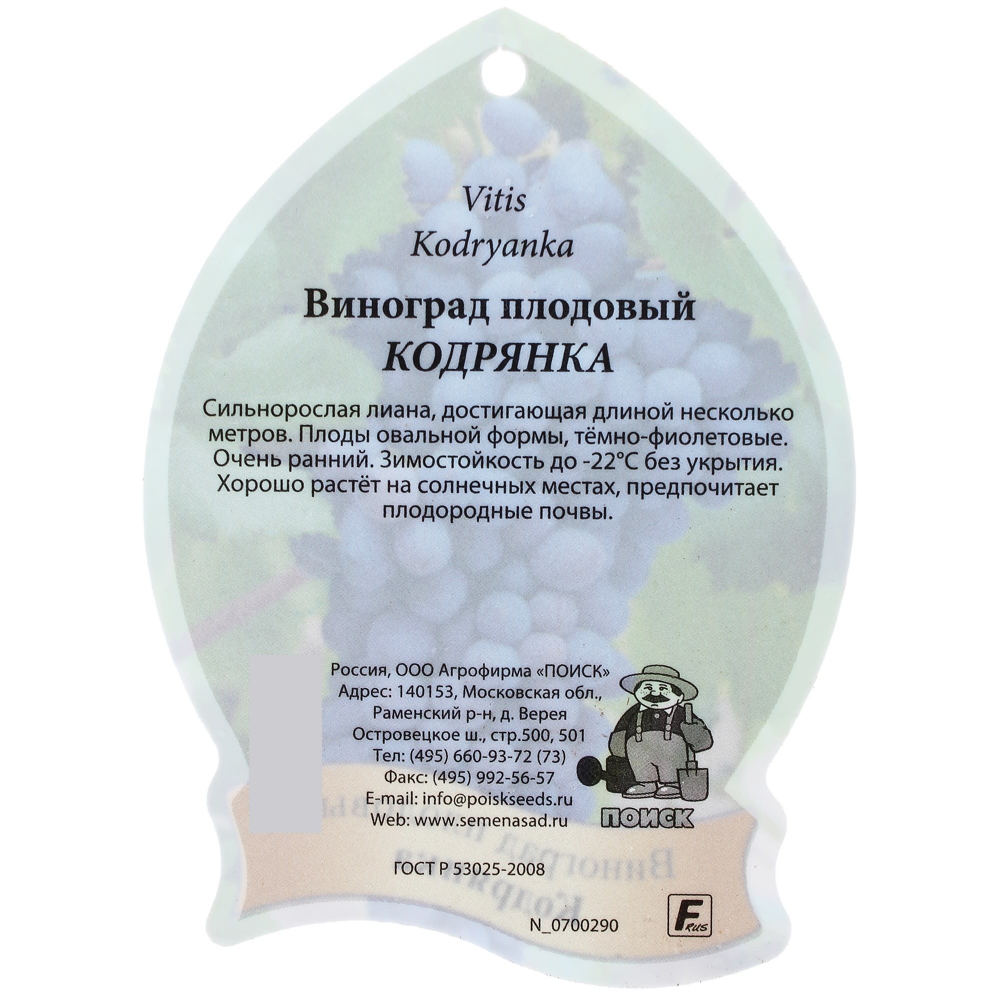 81969624 Виноград плодовый «Кодрянка», контейнер 2 л Santreyd  - Вид №1