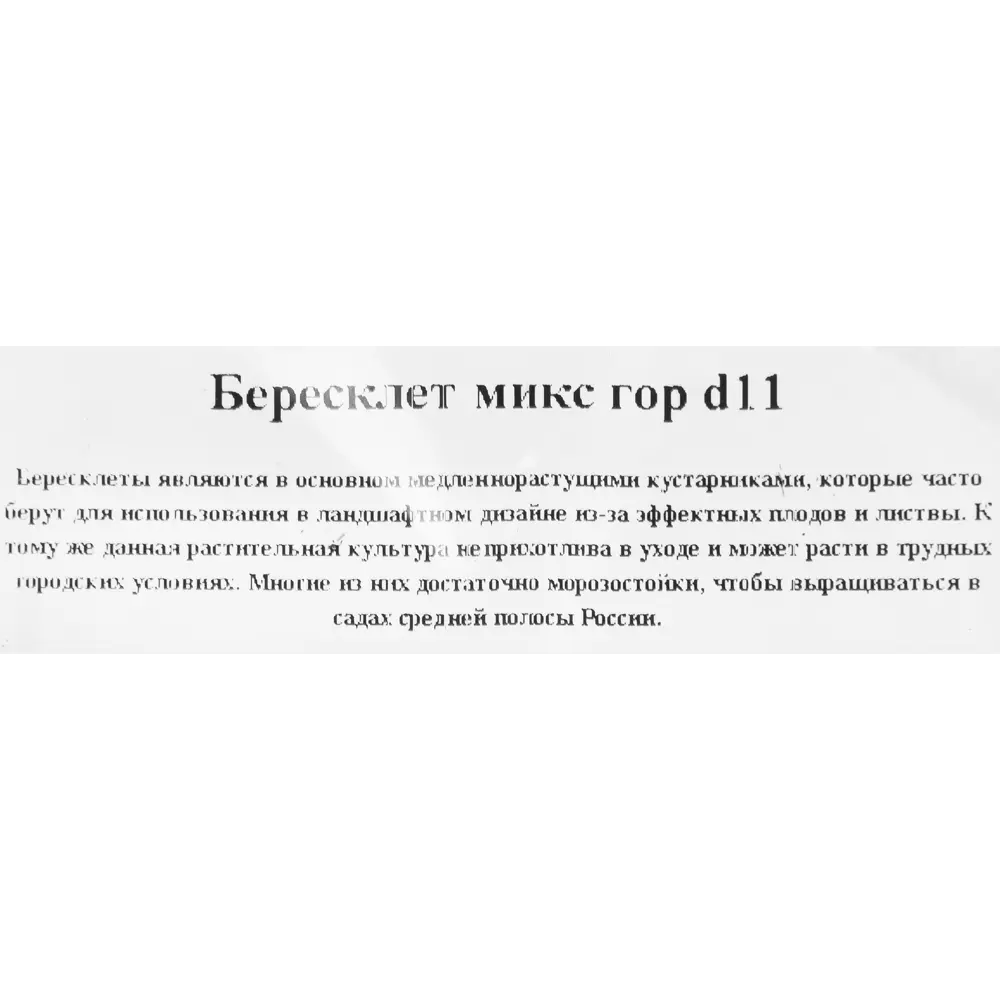 Бересклет Santreyd - декоративный кустарник с пестрой листвой 82649981 STLM-0959278 - Вид №2