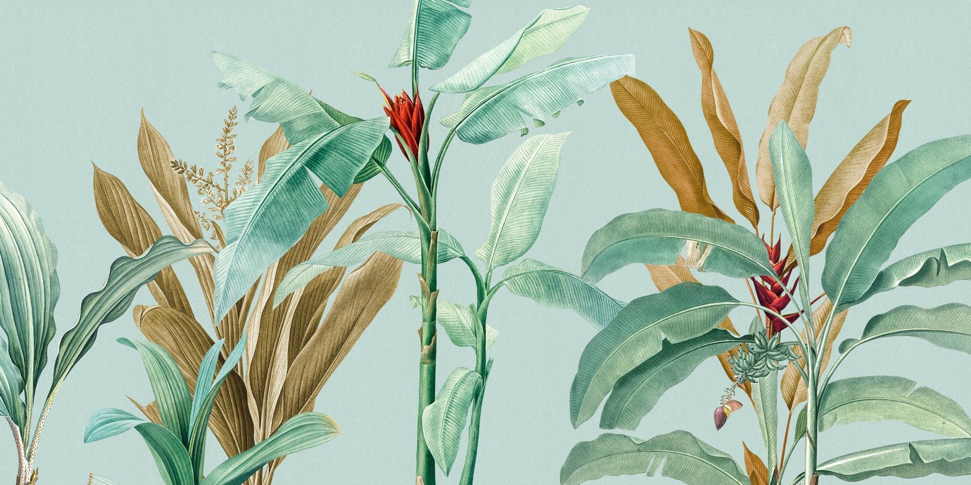 Тропические панорамные обои Rimura 2020 ARCH-00003216 - Вид №4