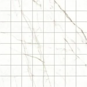 Мозаика Black & White K-60/NR(LR)/m01 White 30x30