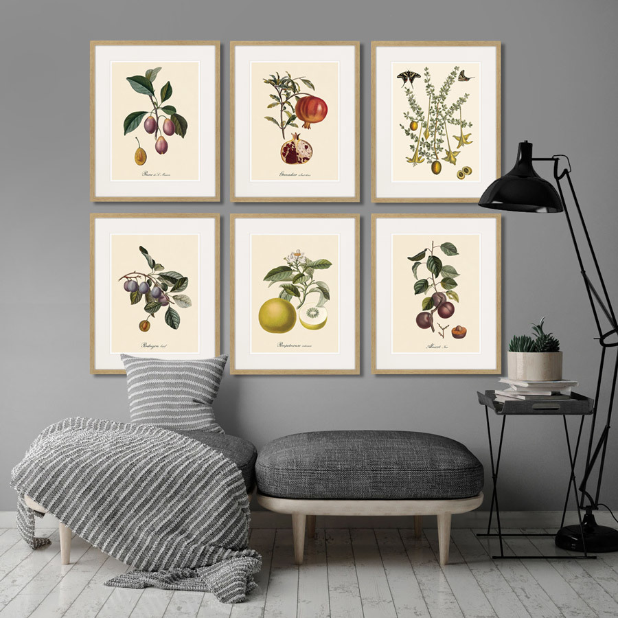 Картина: Juicy fruit lithography №5, 1870г. КАРТИНЫ В КВАРТИРУ  264441 Разноцветный  - Вид №2