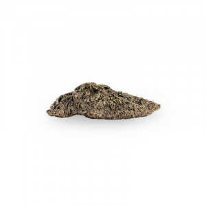 EA1031 Fungi PULLCAST Earth Collection