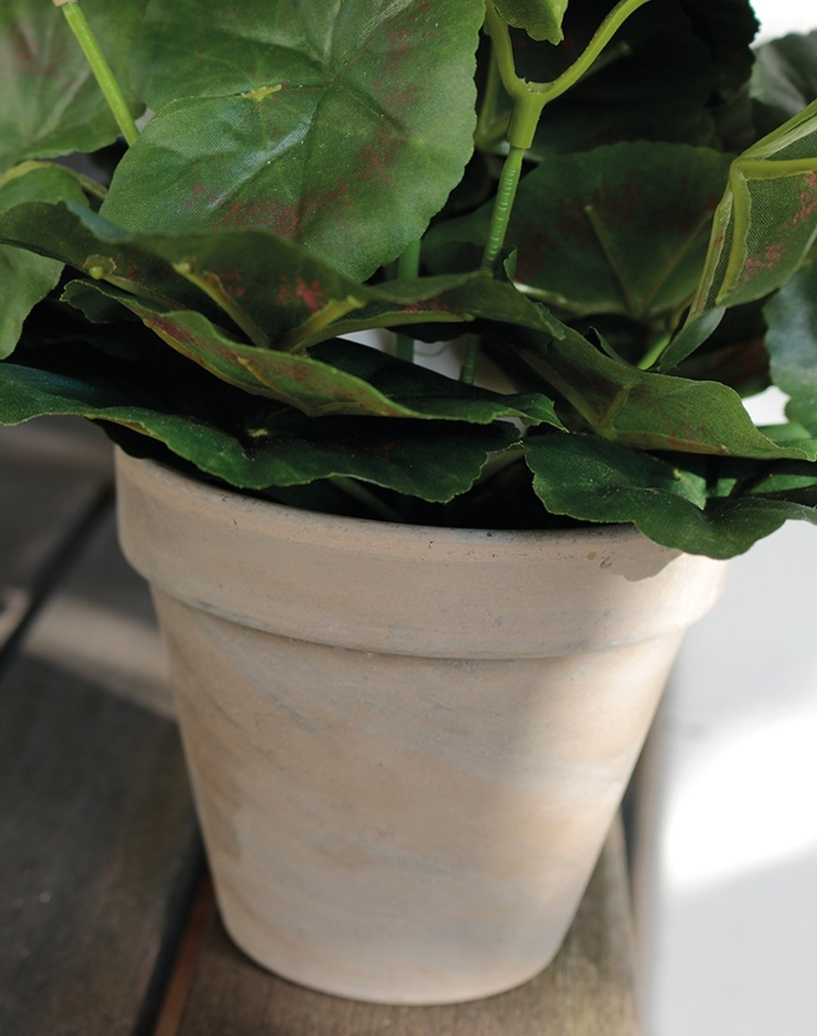 9716 705 a3 Герань шелковая, горшечная, 33 см, бело-розовая H-andreas  - Вид №5