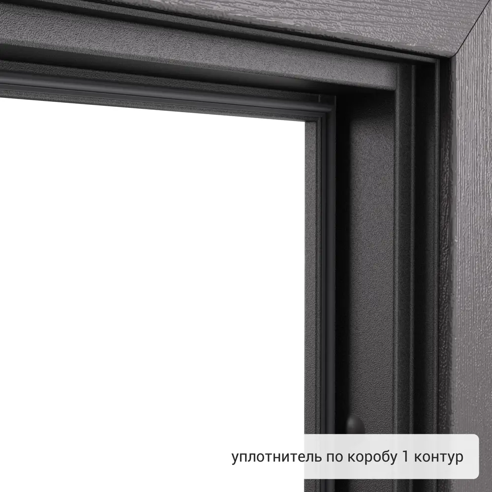 Дверь входная металлическая Хьюго 02 1000 мм правая TOREX STLM-2164186 - Вид №8