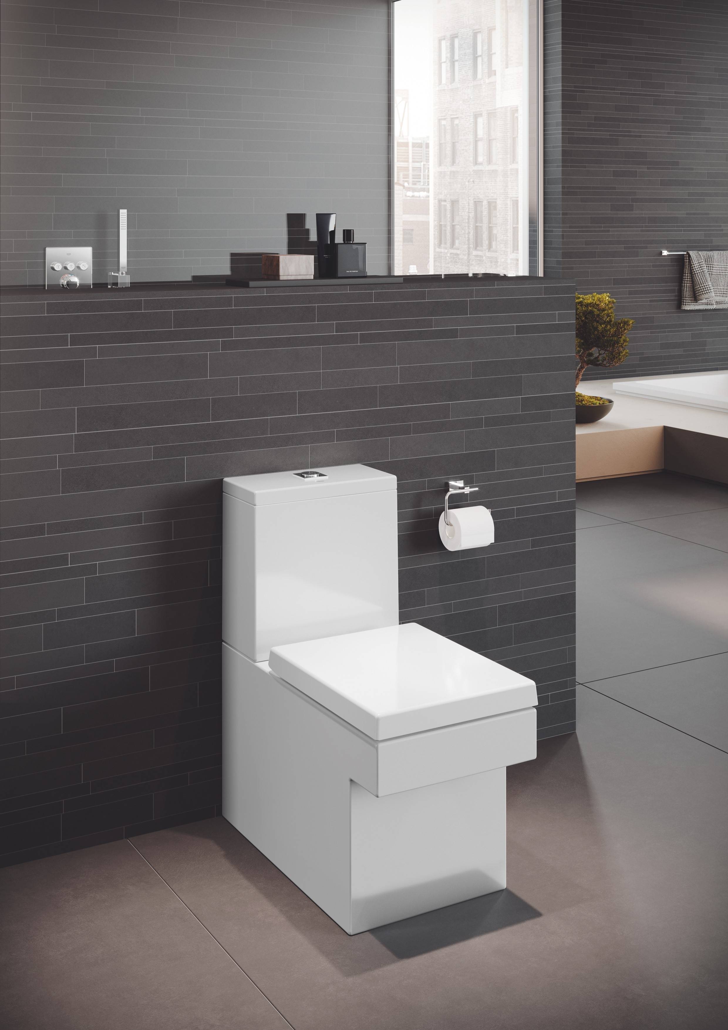 NW0037 Компакт унитаз с бачком Белый Grohe Cube Тайвань - Вид №6