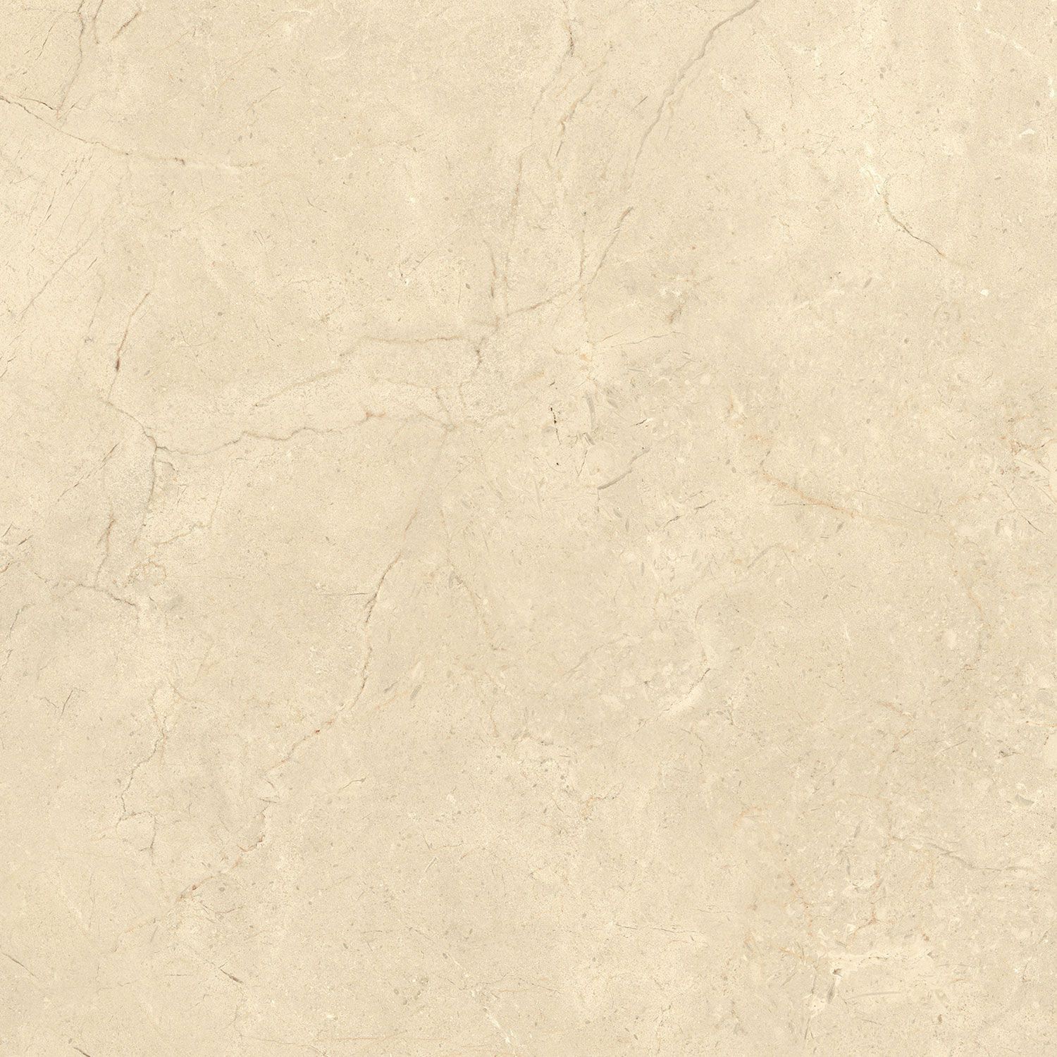 Пол / облицовка керамогранита с эффектом камня Italgraniti Calcis ARCH-00078048 - Вид №16