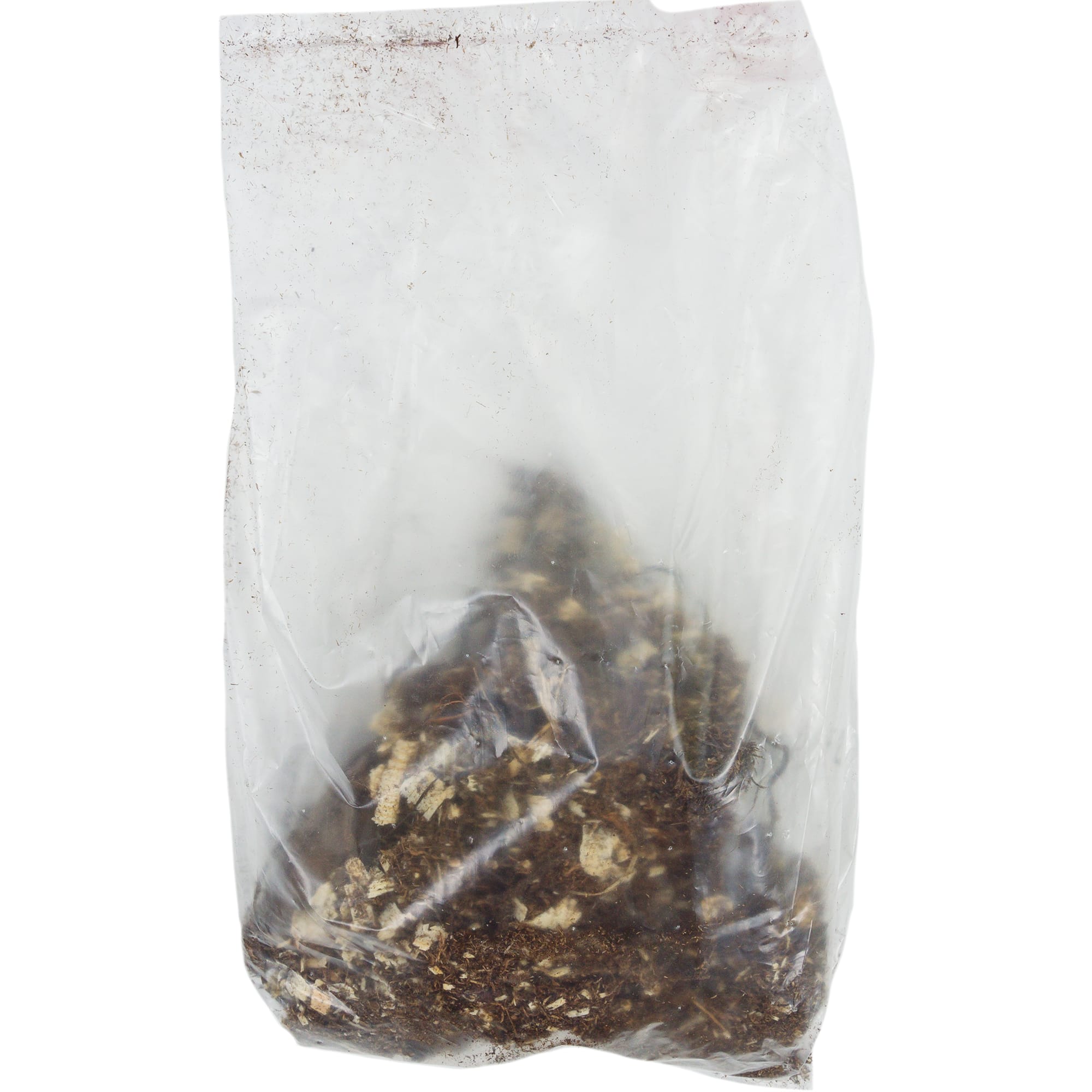 82118670 Георгины декоративные «Кристина», 1 шт Santreyd  - Вид №1