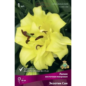Лилия восточная махровая Экзотик Сан 89351843 STLM-2194770