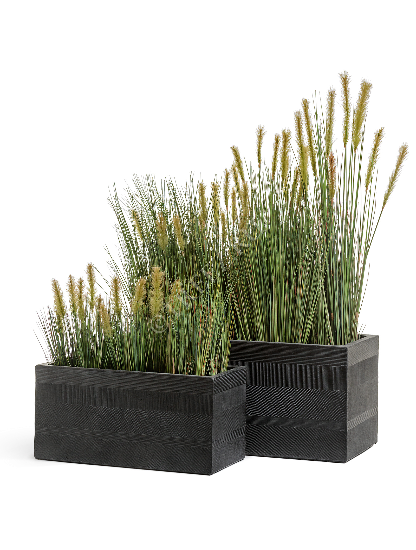 20.1040L-090 Трава Осока Элеганс куст с зелёными султанами Цветочная коллекция  - Вид №6