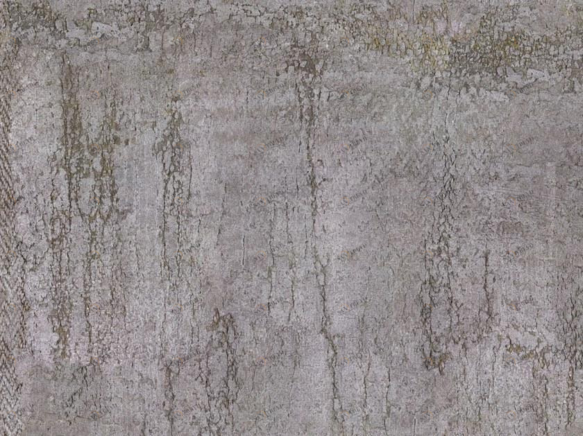 Tecnografica Обои с цифровой печатью Cemento velluto 70124