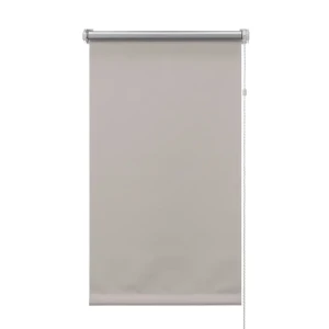 Рулонная штора ЭСКАР Silverback бежевая 60×160 см с цепочным управлением 89354626