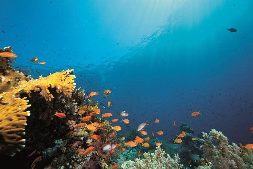 3M Italia Плавленая виниловая пленка высокой прозрачности Wid 3M Company sun-id-1486094 - Вид №4