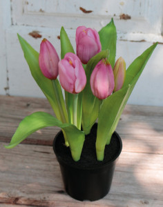 2946 220 a3 Тюльпан шелковые цветы, в горшке, 5-кратный, 22 см, real touch, светло-фиолетовый H-andreas