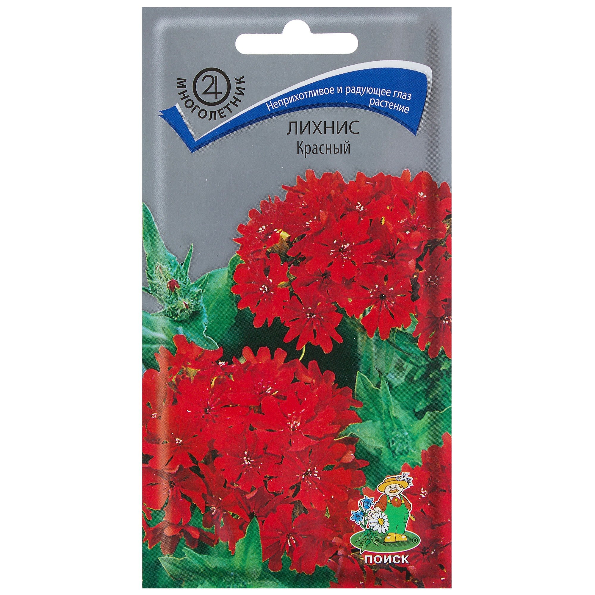 17229338 Лихнис цвет красный Santreyd 