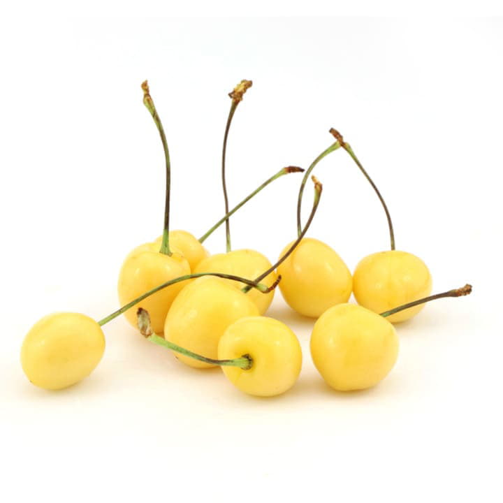 Черешня белая Santreyd 4457 - Вид №1