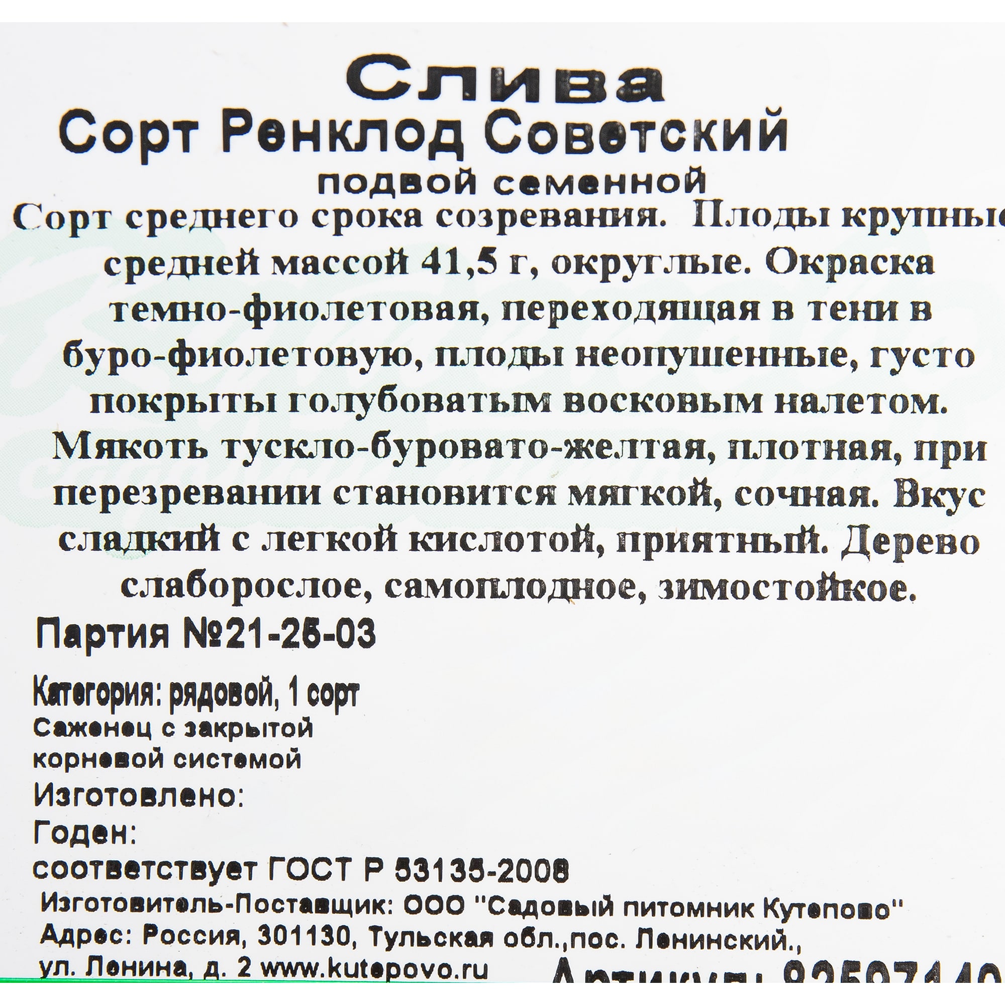 82597140 Слива «Ренклод Советский» C7 высота 180 см Santreyd  - Вид №1