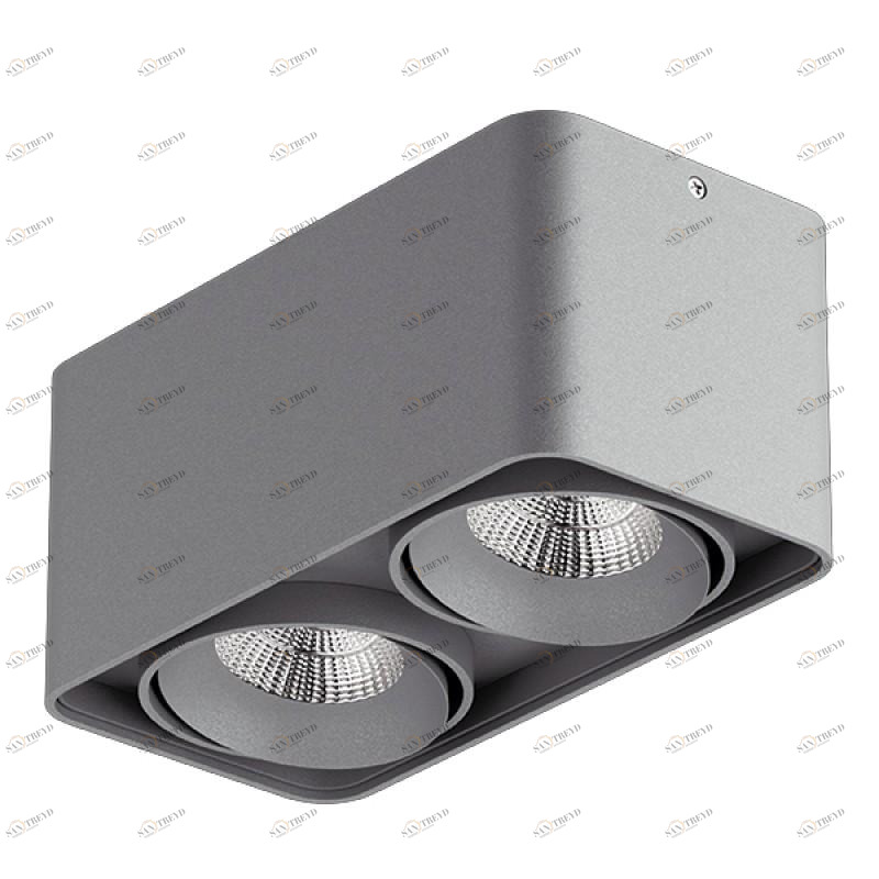 Потолочный светильник Lightstar Monocco 212529 LIGHTSTAR MONOCCO 083159 Серый 