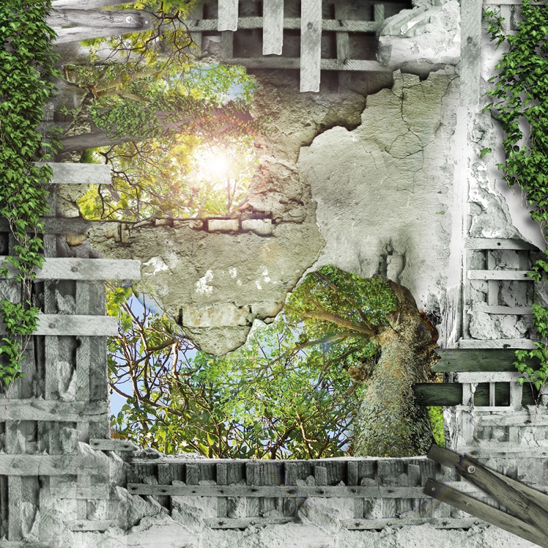 WP10016A Обои декоративные Adriani e Rossi 