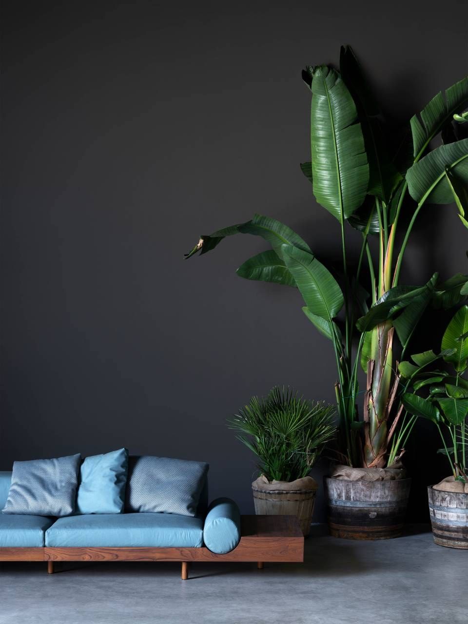 Сад диван из массива тикового дерева и ткани Living Divani Kasbah ARCH-00029400 - Вид №17