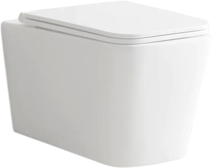 Подвесной унитаз Alcora Tormenta с микролифтом и безободковым дизайном 89360844