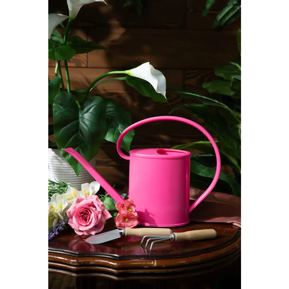 Лейка GARDEN SHOW для комнатных растений 1.2 л 82306292 STLM-0024313 - Вид №7