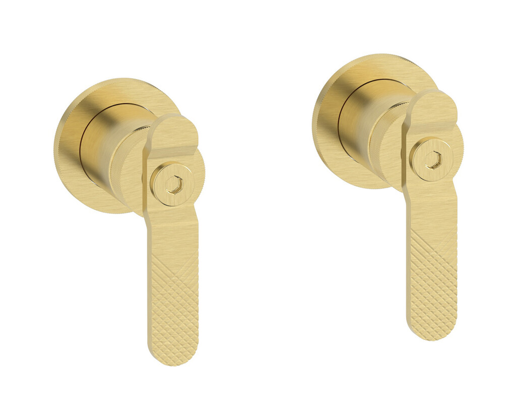 Встроенный смеситель для душа на 2 отверстия на 1 потребителя. WE ARE IB b2400is Brushed Pale Gold Bold