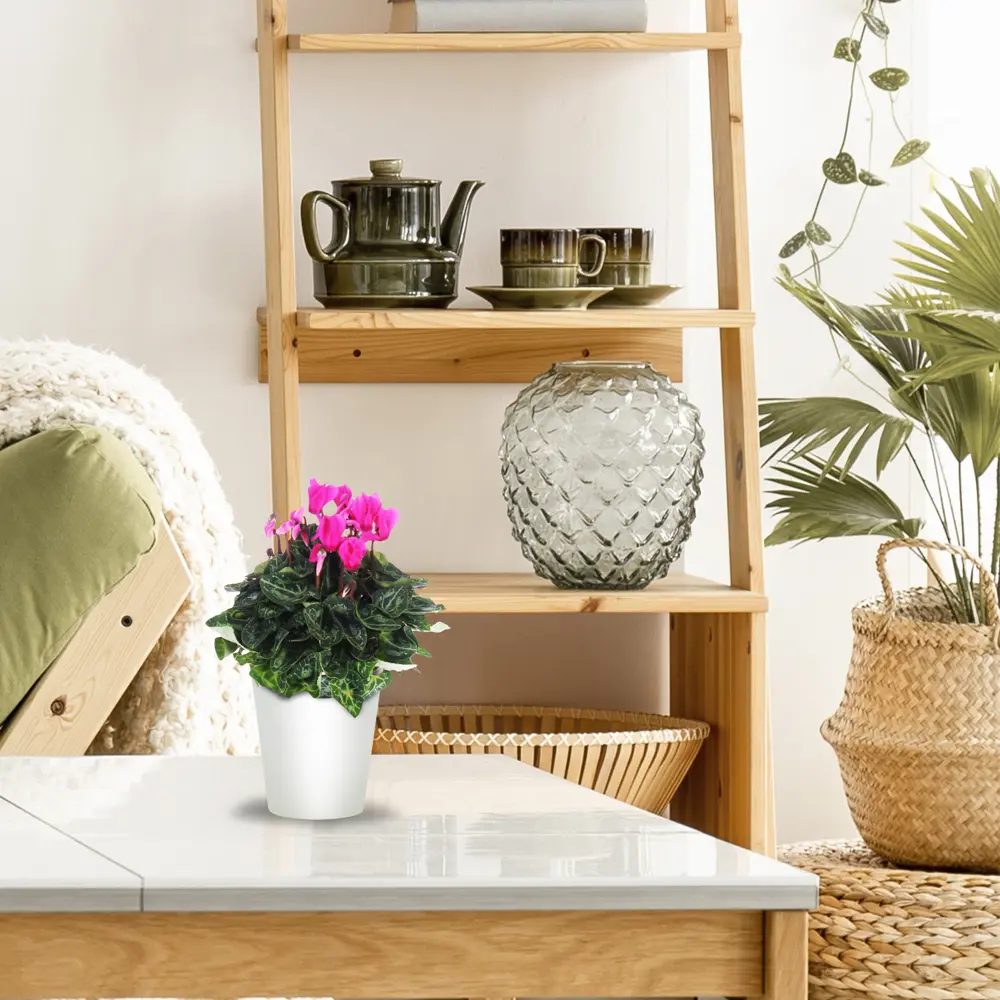 Кашпо для орхидей ø14 h15 см v1 л стекло белый NINA GLASS Бальзамин STLM-2202723 - Вид №3