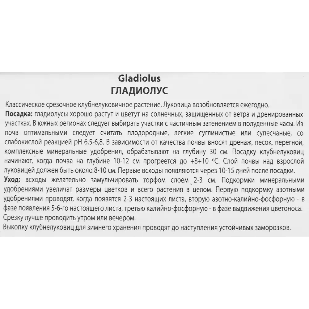 Гладиолус крупноцветковый Бон Ваканс, 3 шт ПОИСК STLM-2176928 - Вид №2