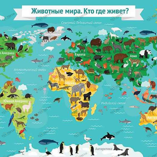 L-089 Фотообои DIVINO L&P 2х1.47 м L089