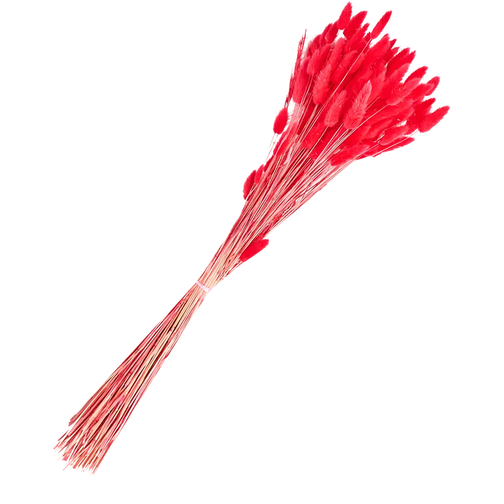 Букет из сухих цветов Лагурус микс 1 70 см Santreyd STLM-2132636 - Вид №4