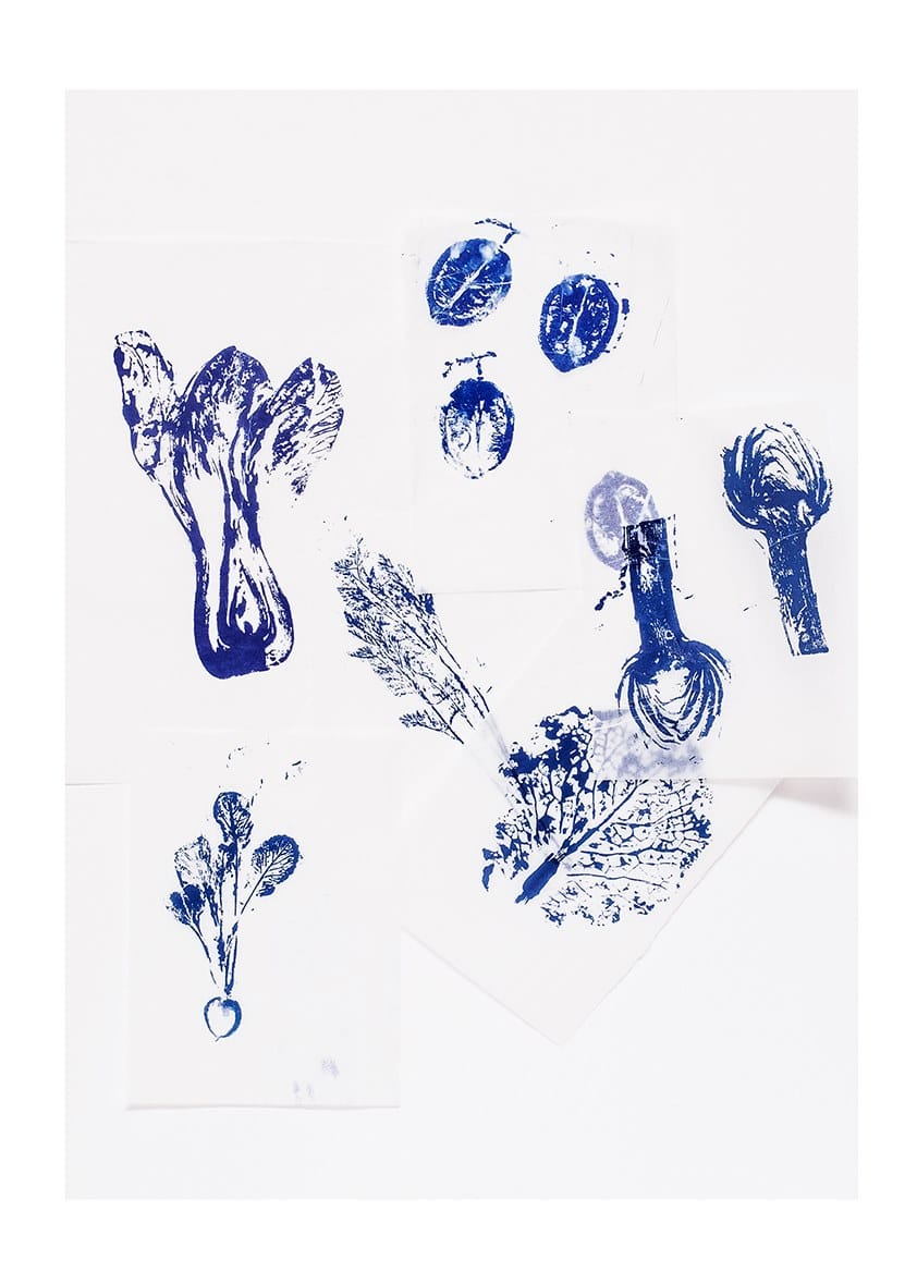 Фарфоровая десертная тарелка Non Sans Raison Végétal ARCH-00036095 - Вид №2