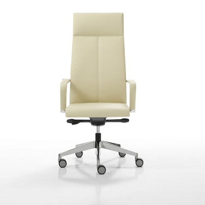 005673 Поворотное кресло INCLASS Millenium Santreyd