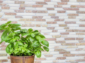 Отделка из красного и кремового мрамора Verona