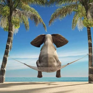 L-096 Фотообои DIVINO L&P 3х2.7 м