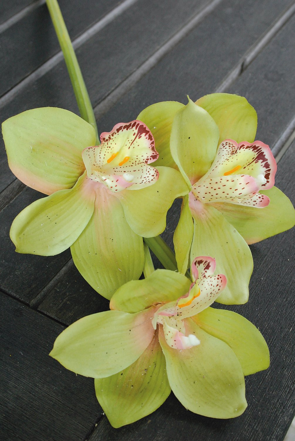 2583 883 a2 Цимбидиум искусственная орхидея, 46 см, real touch, зеленый H-andreas  - Вид №3