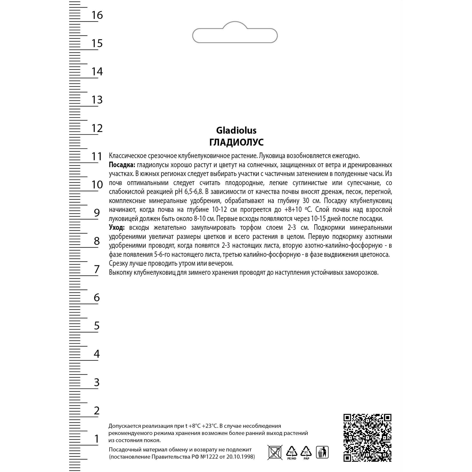 82530199 Гладиолусы крупноцветковые Фёст Блад Santreyd  - Вид №1