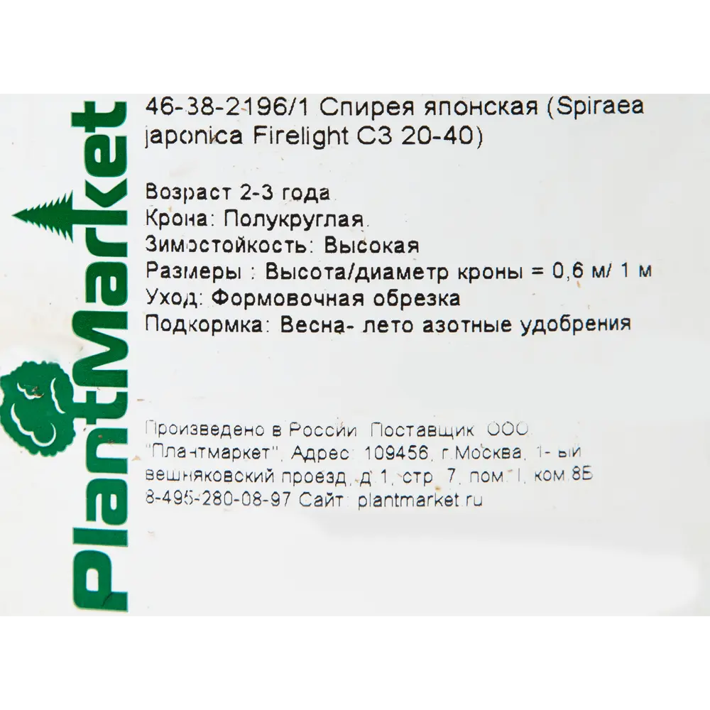 Спирея японская «Файерлайт» C3 20-40 см PLANTMARKET STLM-2161096 - Вид №1