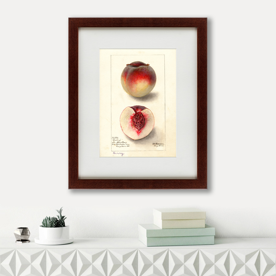 Картина: Watercolor collection, drawing №4, 1905 КАРТИНЫ В КВАРТИРУ  135756 Разноцветный  - Вид №1