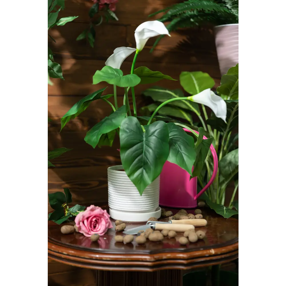 Керамический горшок Santreyd «Лоза» для комнатных растений 82278871 STLM-0023895 - Вид №2