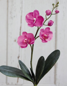 2524 420 a2 Искусственная орхидея Phalaenopsis, 5 листьев, 35 см, вишня H-andreas