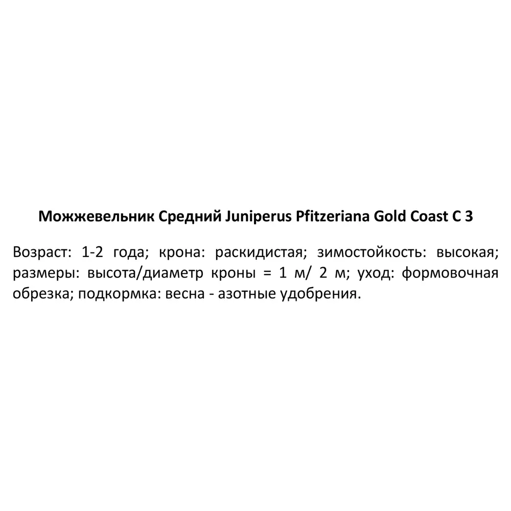 Можжевельник средний Голд Кост ø19 h30 см 85440394 STLM-2076455 PLANTMARKET  - Вид №2