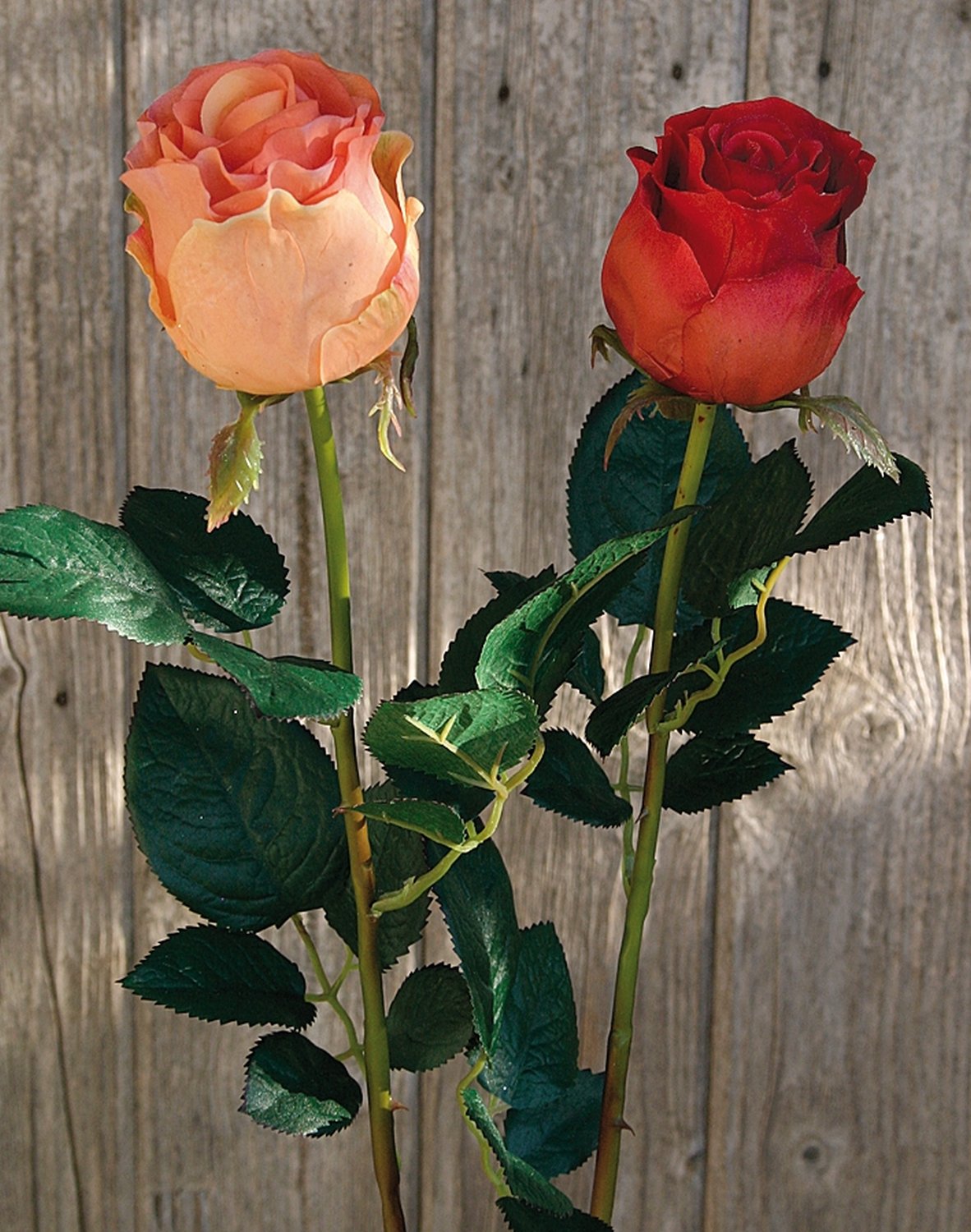 3180 553 a2 Синтетическая роза, 76 см, real touch, абрикос H-andreas  - Вид №2