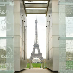 D2-015 Фотообои DIVINO Collection D 2.7х3 м