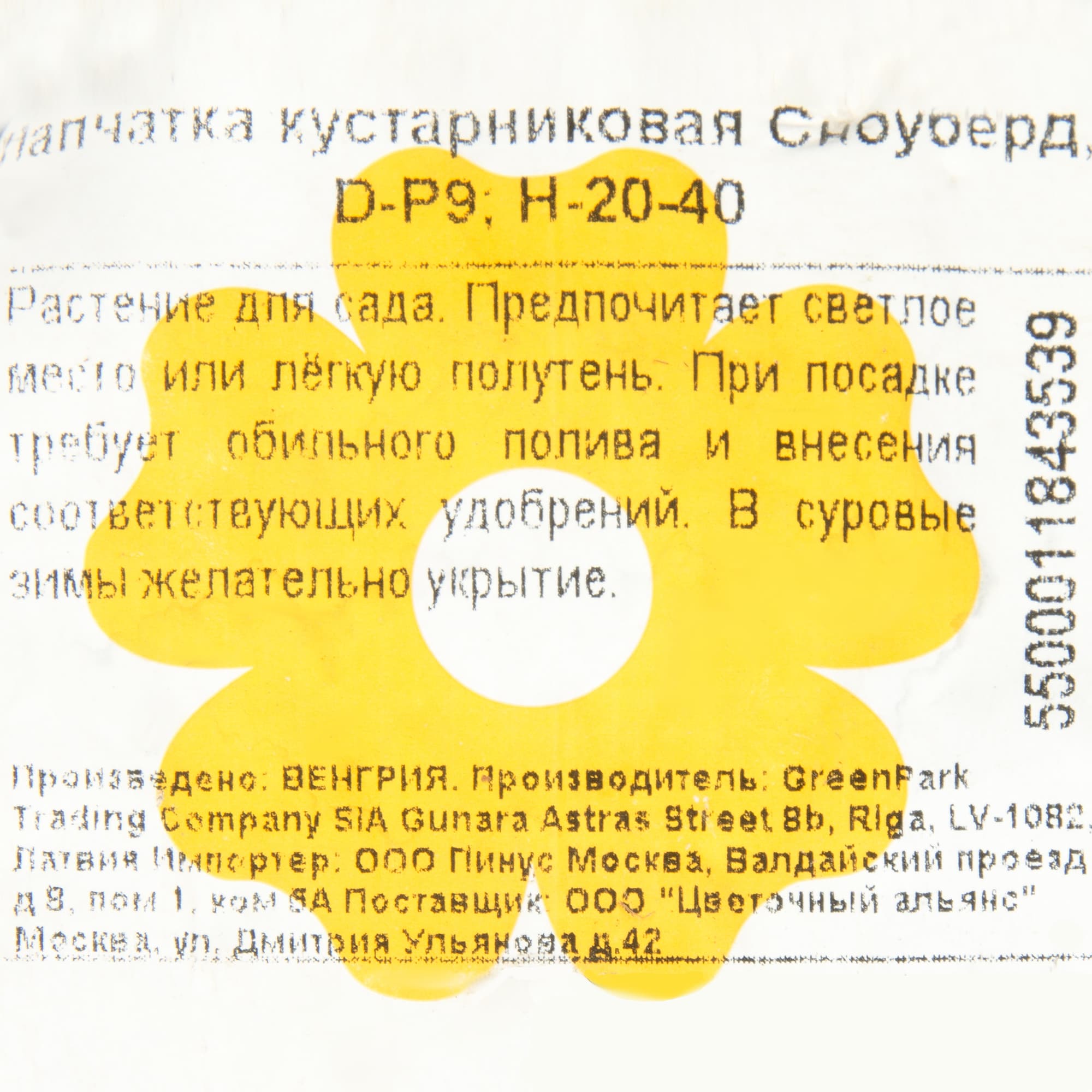 82176169 Лапчатка кустарниковая «Сноубёрд» P9 Santreyd 