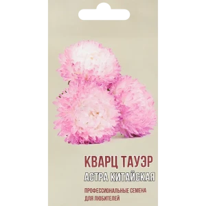 Астра китайская Кварц тауэр 83601687 STLM-2185134